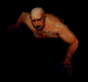 Dust biter