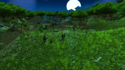 Laleh-adventure-01-021