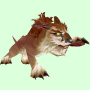 Luchs.jpg