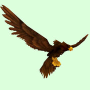 Adler.jpg