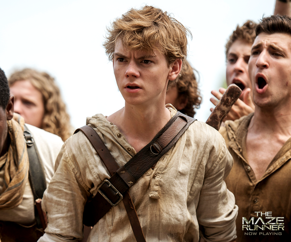 Datei:Newt2.png