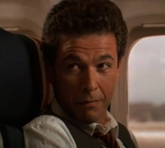 File:Airline passenger.jpg