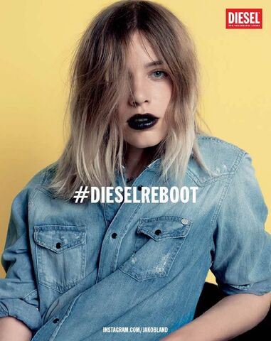 File:FW13-Dieselreboot-Jakob.jpg