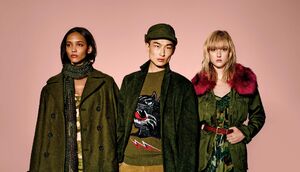 FW15 military-cover