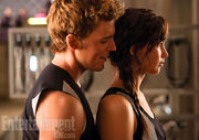 Catching-fire-finnick 810x506.jpg