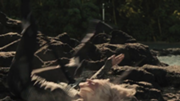 180px-Cashmere-death.png