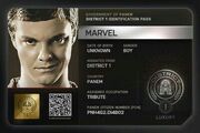 Marvel-DIP.jpg