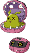 Syakomon t