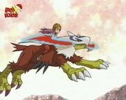 Flügel-Boomerang.jpg