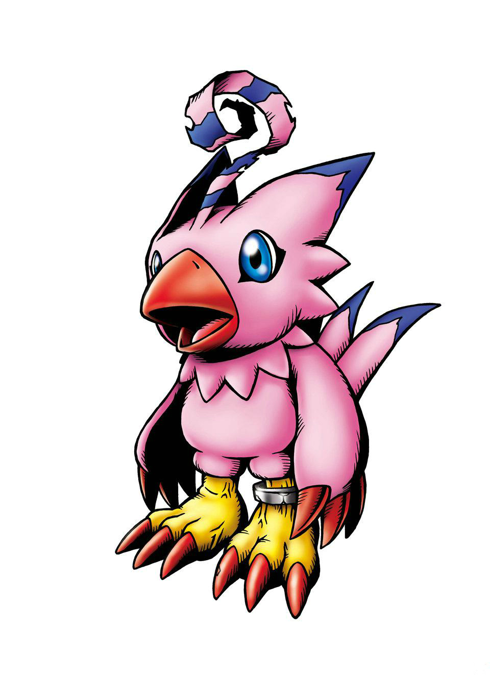 Biyomon | DigimonWiki | FANDOM powered by Wikia