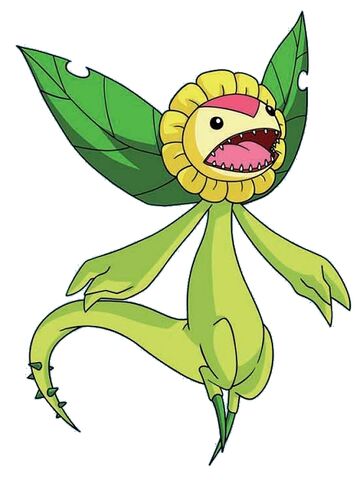 Datei:Sunflowmon.jpg