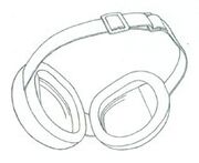 Tai Goggles.jpg