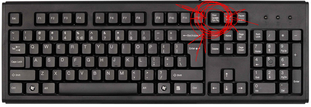 Файл:PSS.png