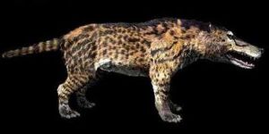 Andrewsarchus.jpg