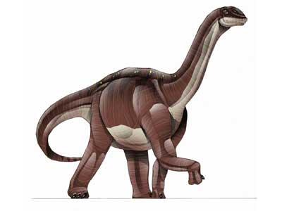 Blikanasaurus 1224711-L