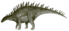 Image003