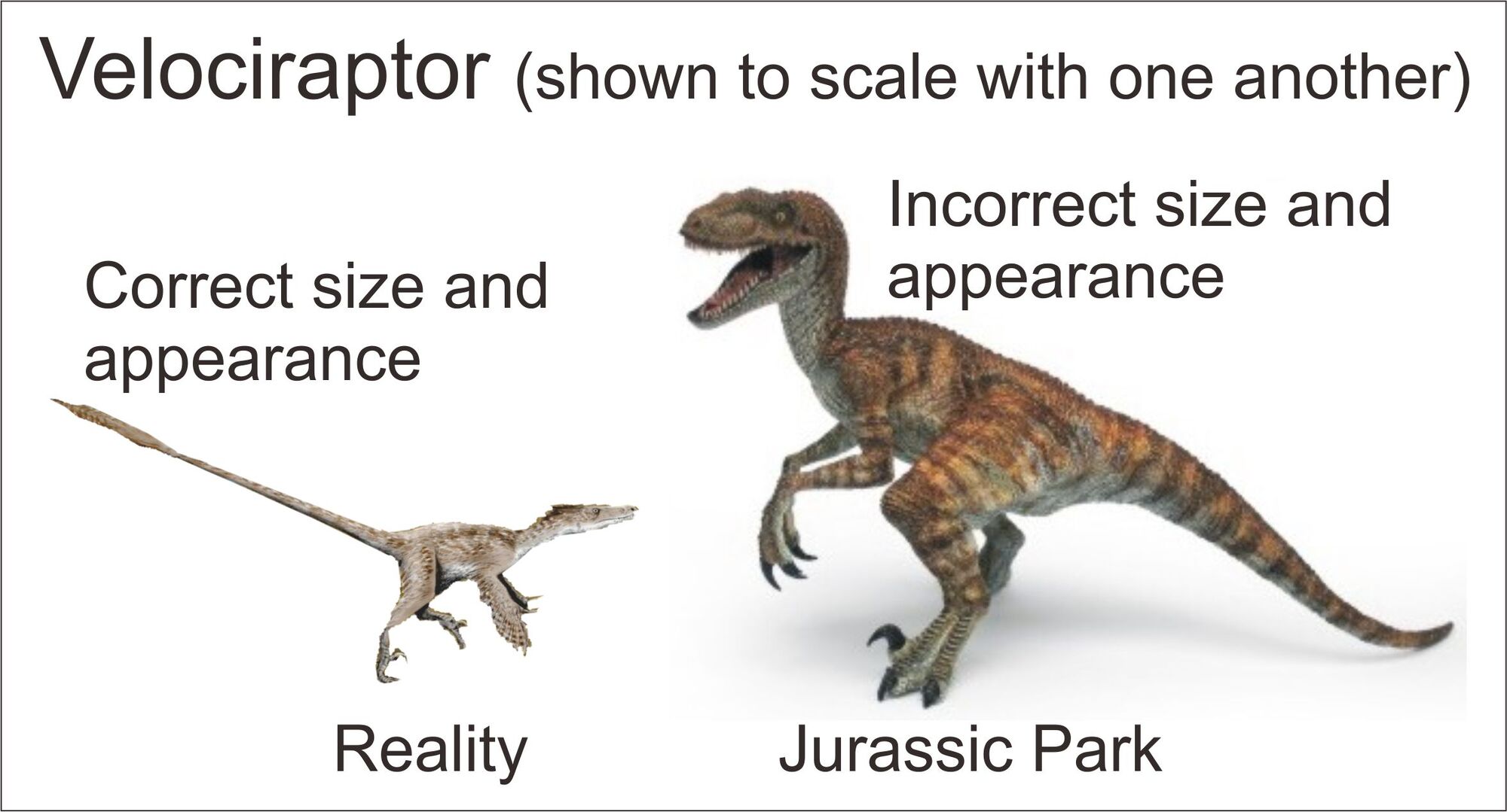Image - 1273088202 1390602716.jpg | Dinosaur Wiki | FANDOM powered by Wikia