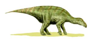 Iguanodon BW