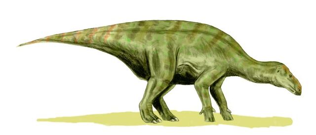 File:Iguanodon BW.jpg