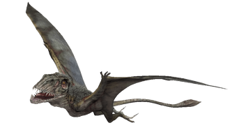 Dimorphodonjw