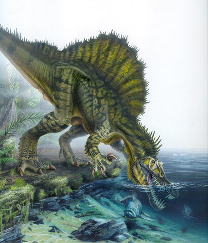 File:Spinover3.jpg