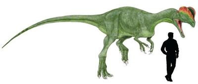 Dilophosaurus
