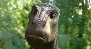 Aladar