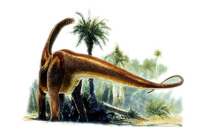 Datousaurus web
