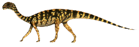 Mussaurus2