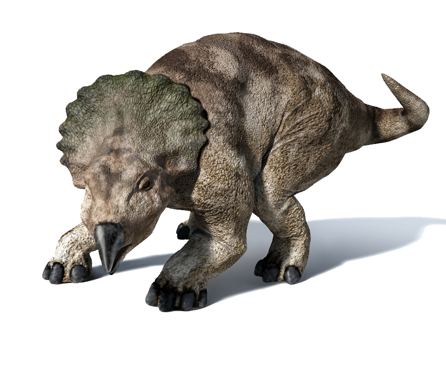 dinosaur with frill and one horn