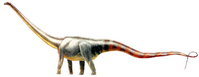 Seismosaurus.jpg