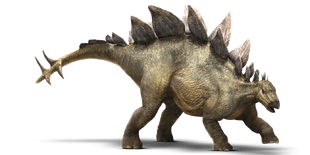 Stegosaurus-detail-header