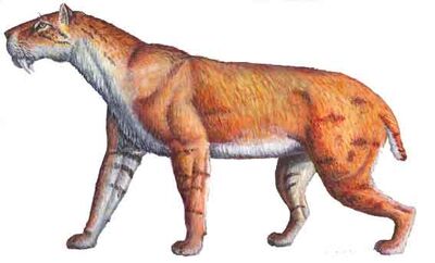 Homotherium