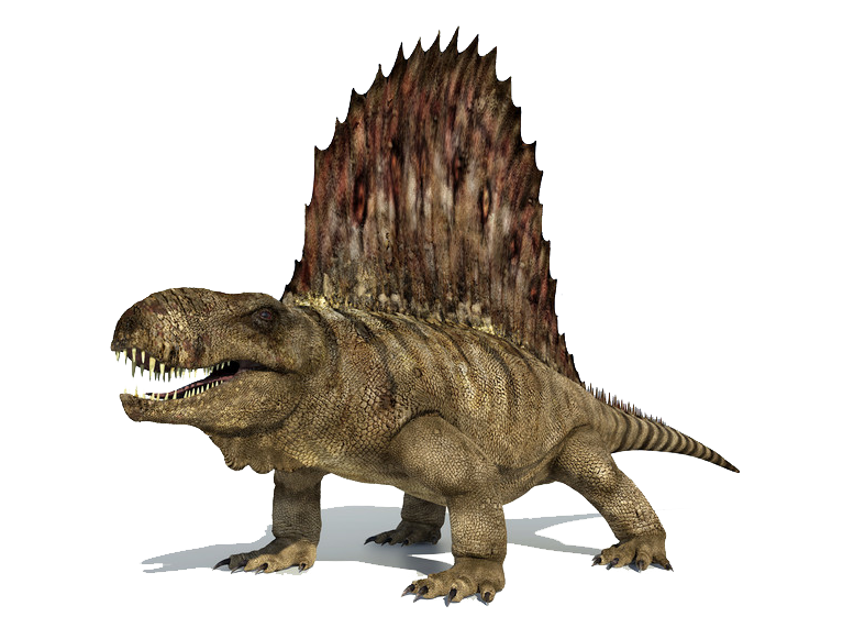 dinosaur with the fin on its back