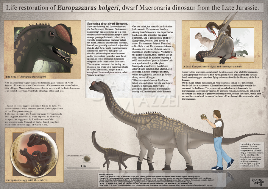 europasaurus dinosaur
