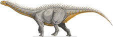 Barapasaurus