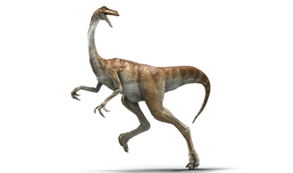 Gallimimus-detail-header