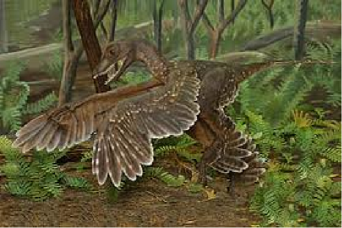 dating dinosaurs wiki 42 index fossils 43 relative dating 44 absolute dating ripples, tracks, petrified wood, dinosaur bones and hard-shelled invertebrates. dating dinosaurs wiki 42 index fossils 43 relative dating 44 absolute dating ripples, tracks, petrified wood, dinosaur bones and hard-shelled invertebrates.