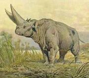 Arsinotherium.jpg