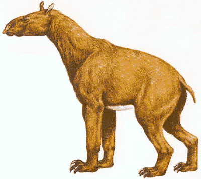 Moropus