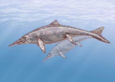 Shastasaurus.jpg