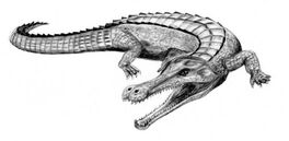 Sarcosuchus BW
