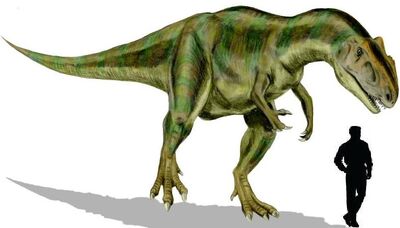 Allosaurus.jpg
