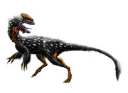 Guanlong wucaii by durbed