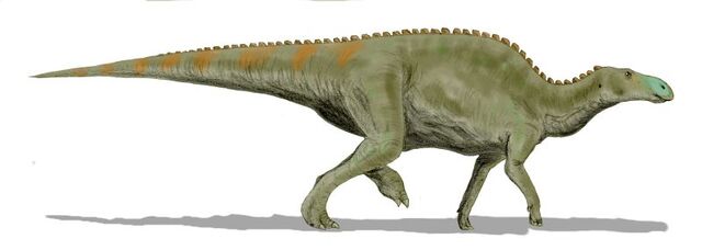 File:Edmontosaurus BW.jpg