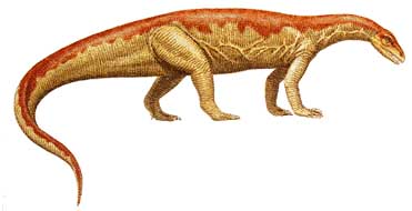 Anchisaurus