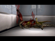 Compy eat raptor