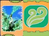BENDICION DE LA NATURALEZA