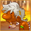 Soft Shaman