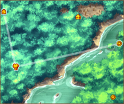 Wild Jungle